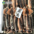 frozen whole round squid argentina calamary squid illex 300-400g